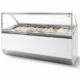 Speiseeisvitrine Millenium 20 Transport auf Anfrage | Combisteel 7295.0055 - 7295.0055