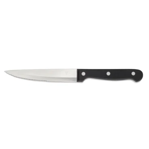 Steakmesser Set, mit POM Kunststoffgriff, 25 cm, Set á 6 Stück, Polyoxymethylen, Chromstahl 13/0 - 6413025 - 6413025